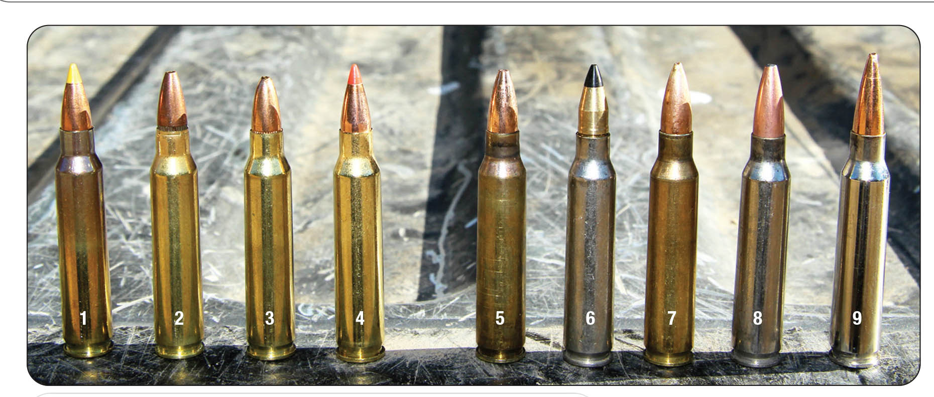 Factory ammunition tested included: 1) SIG SAUER 40-grain Varmint & Predator Tip, 2) Remington UMC 45 JHP, 3) American Eagle 50 JHP and 4) Hornady 55 V-MAX Varmint Express. Handloads included: 5) Barnes 50 Varmint Grenade, 6) Cutting Edge ESP Raptor, 7) Rocky Mountain Reloading 69 3-Gun Hunter, 8) Speer 75 Gold Tip and 9) Berger 90-grain VLD Target.